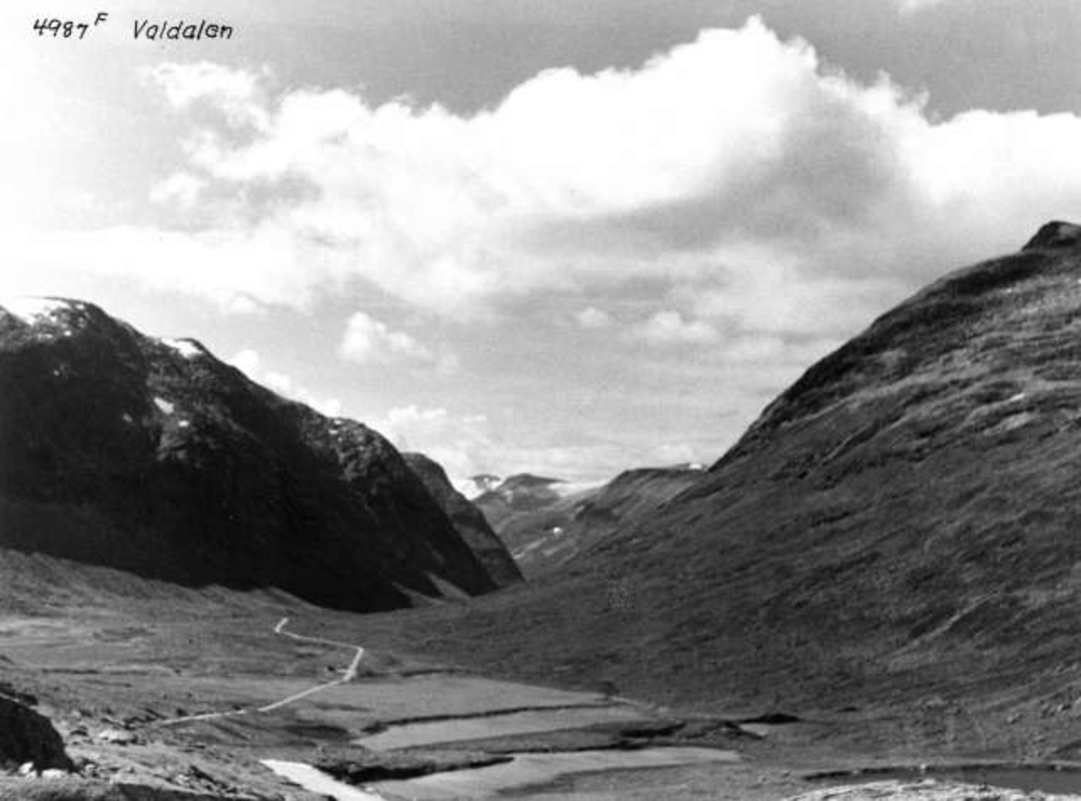 Anders Beer Wilse, -5771