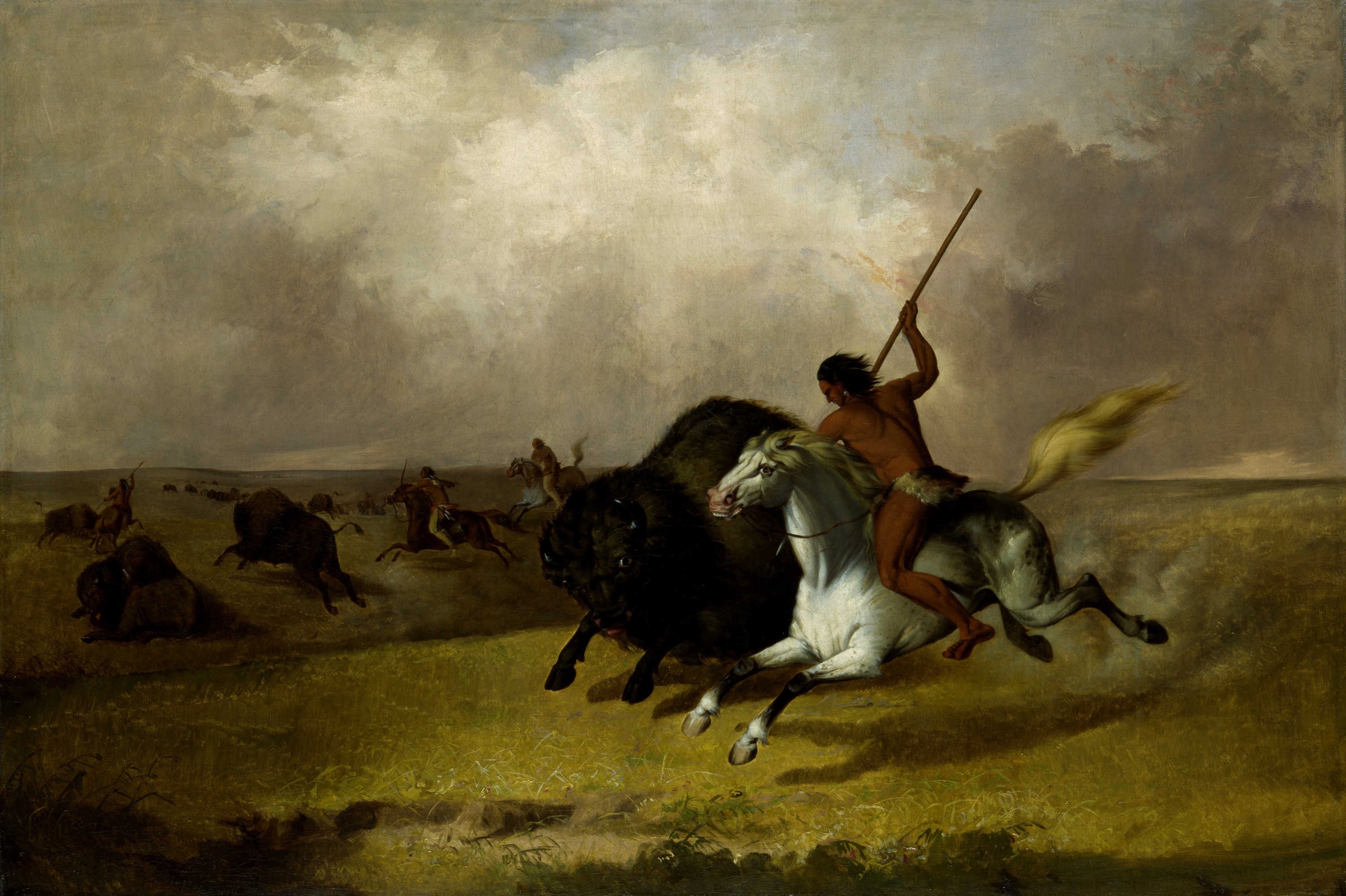 John Mix Stanley, Buffalo Hunt on the Southwestern Prairies