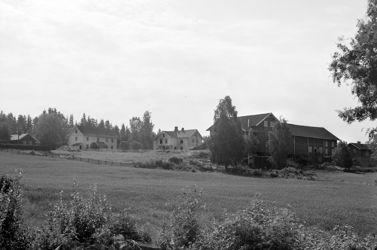 Anno Domkirkeodden, EKSTR: GARDSTUN, BENNINGSTAD STORE. Se Løtenboka, bind 3. Bygdeboka fra 1955, side 458