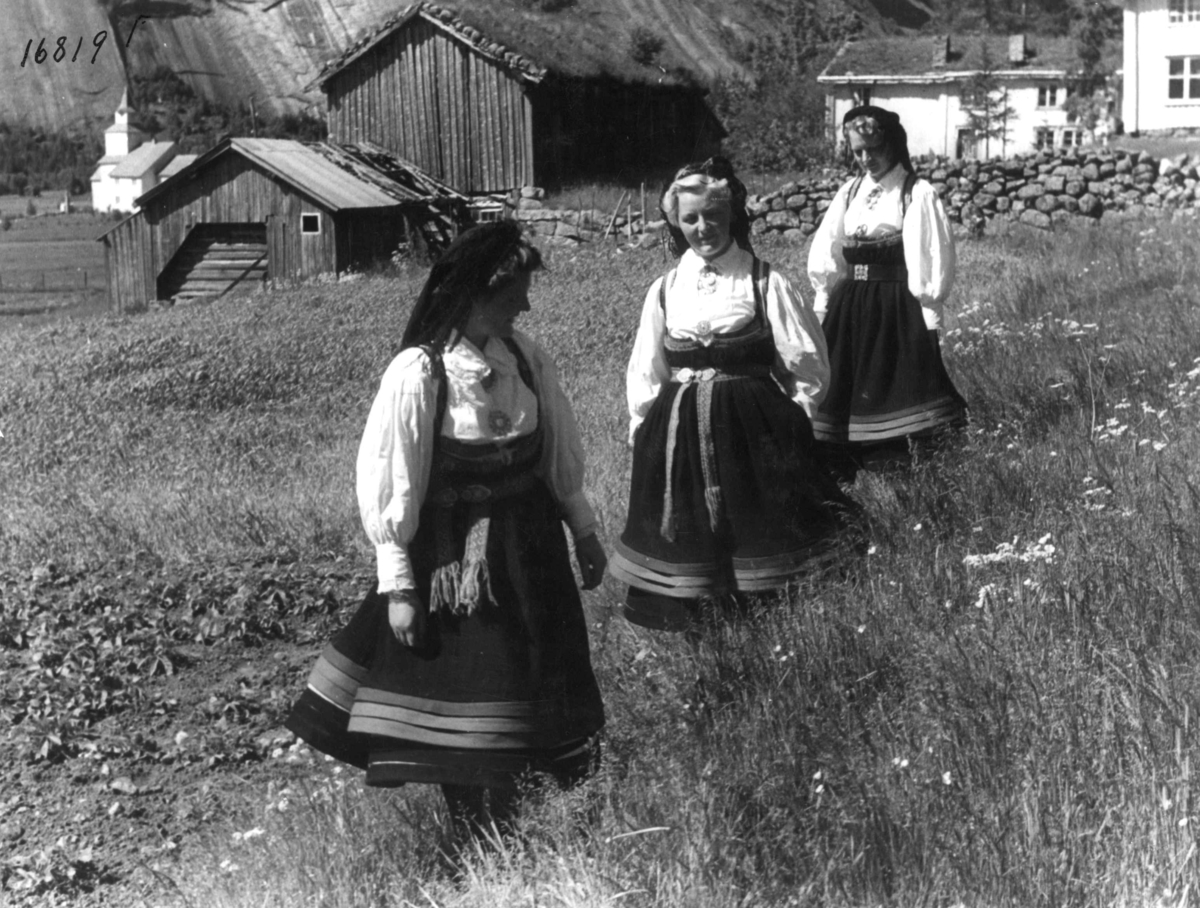 Anders Beer Wilse, Kvinnedrakt, Setesdalsjenter