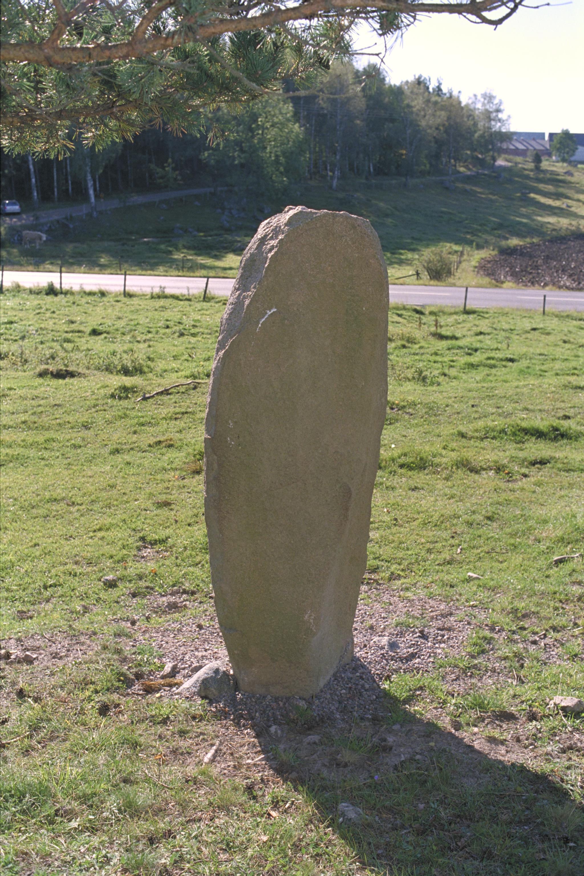 Bengt A Lundberg, ÖgNf1993 Lunnebjörke
