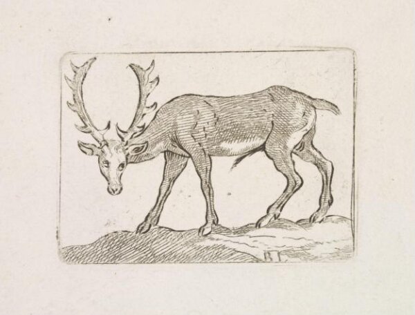 Unknown, Print