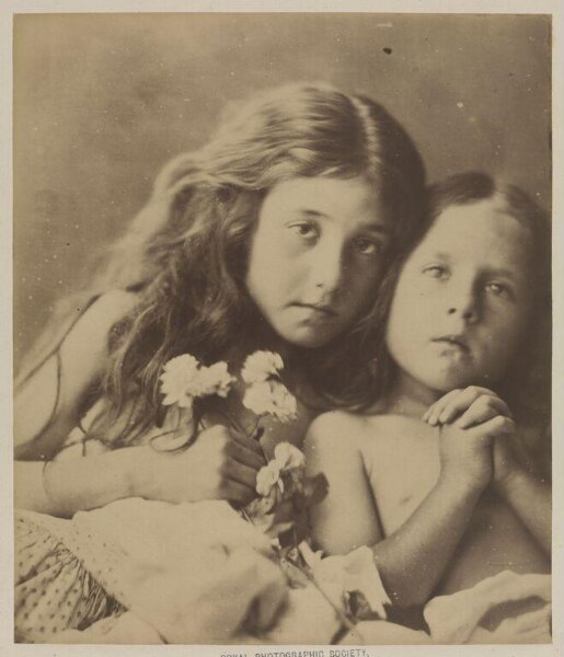 Cameron, Julia Margaret, The red & white Roses