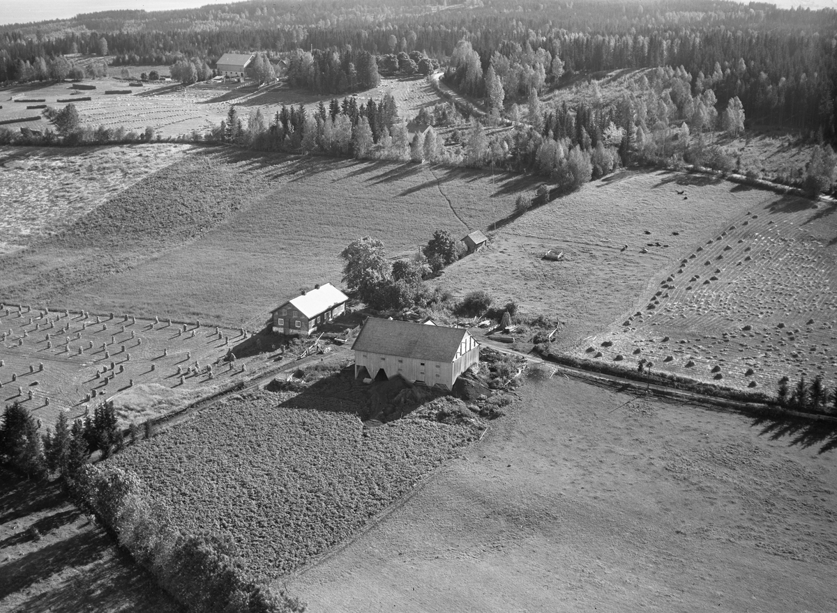 Anno Domkirkeodden, Flyfoto, gardsbruk, Bokalrud, Nes, Hedmark.