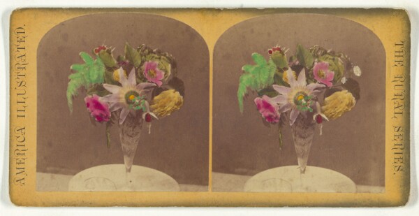 Unknown, [Flowers in clear glass vase]