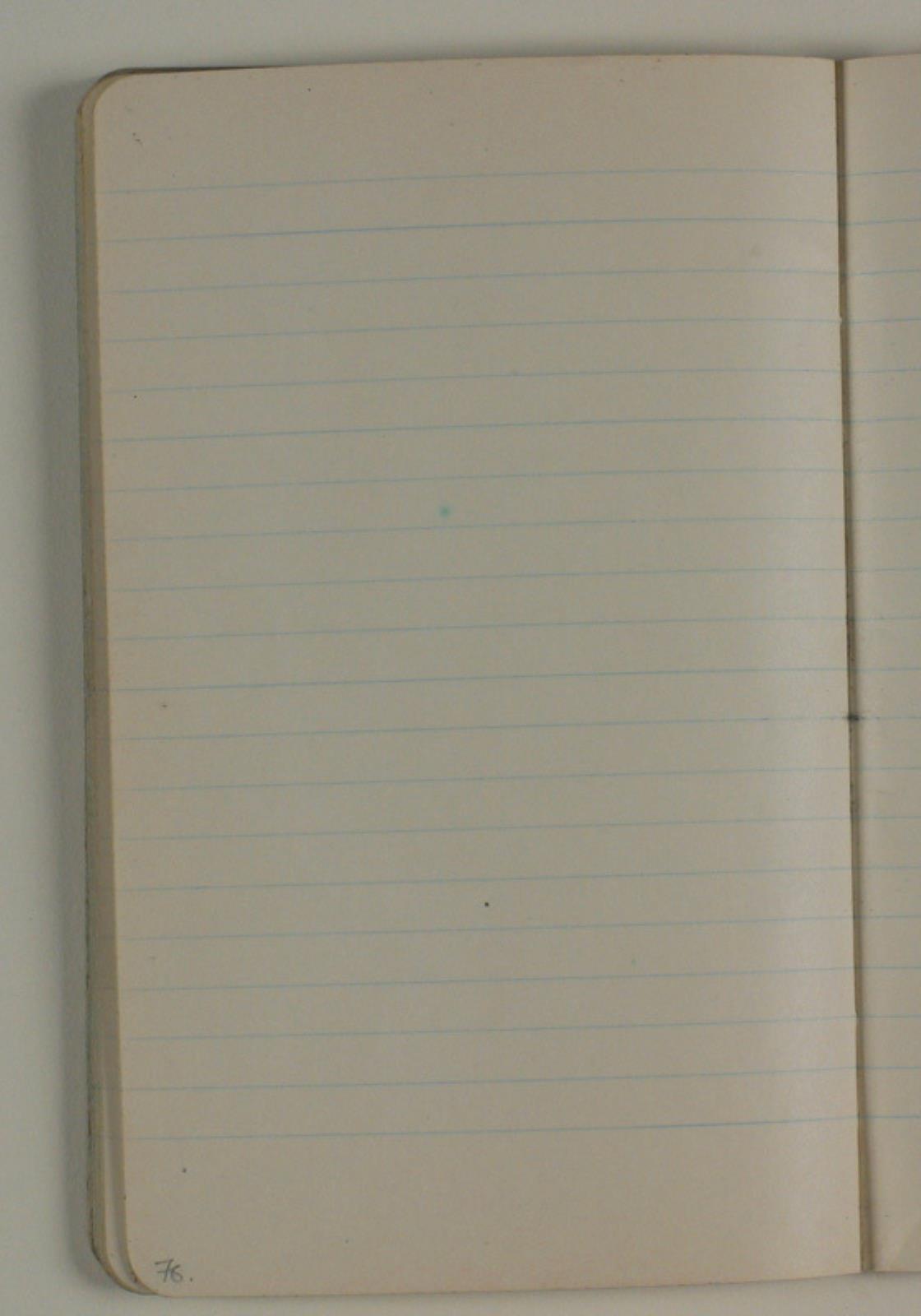 Niels Larsen Stevns, Blank