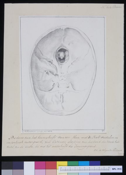 M Houtman, Skull seen from below