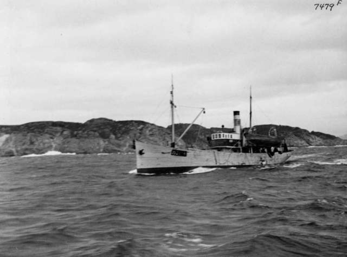 Anders Beer Wilse, -7332