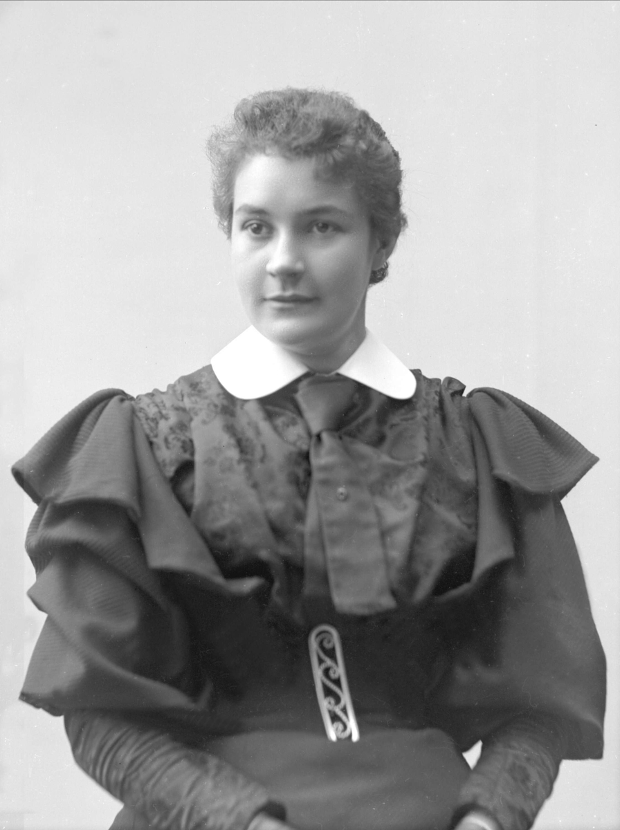 Gustav Borgen, NFB.31866