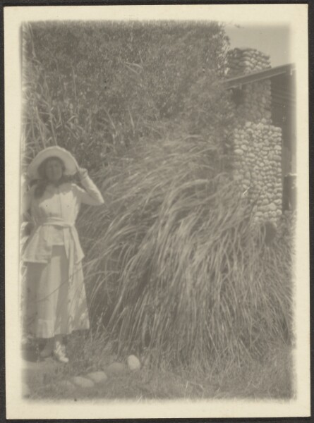 Louis Fleckenstein, [Florence and Wild Grass]