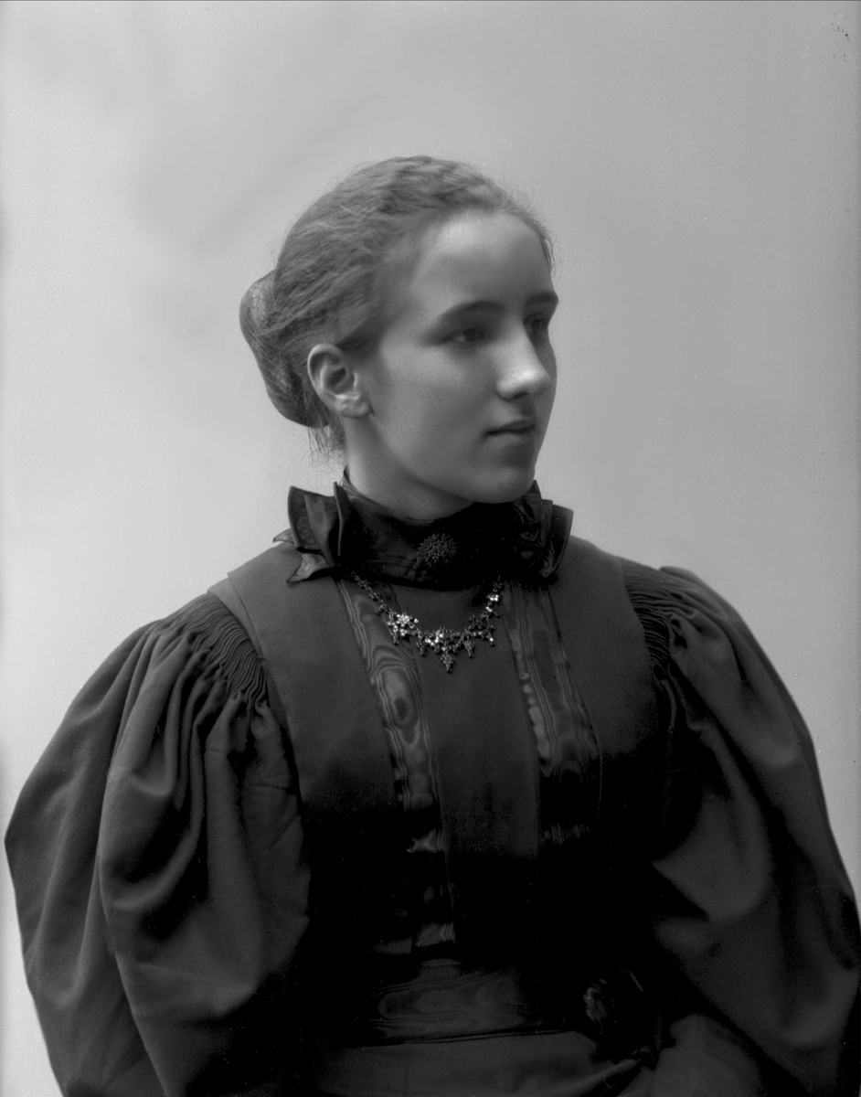 Gustav Borgen, NFB.38981