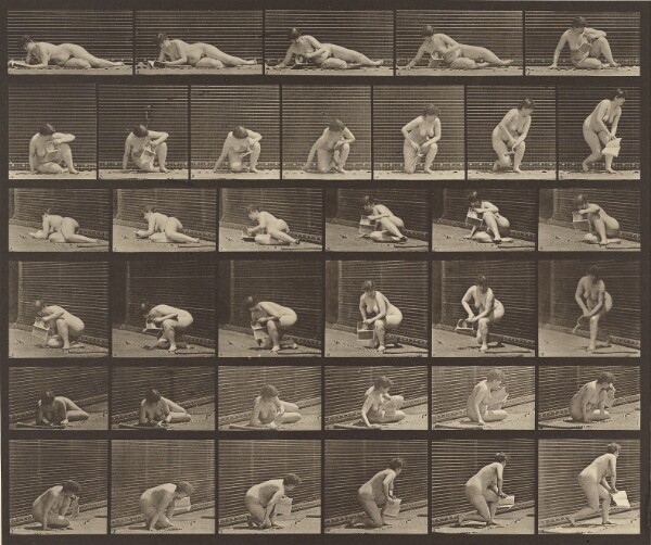 Eadweard J. Muybridge, Animal Locomotion