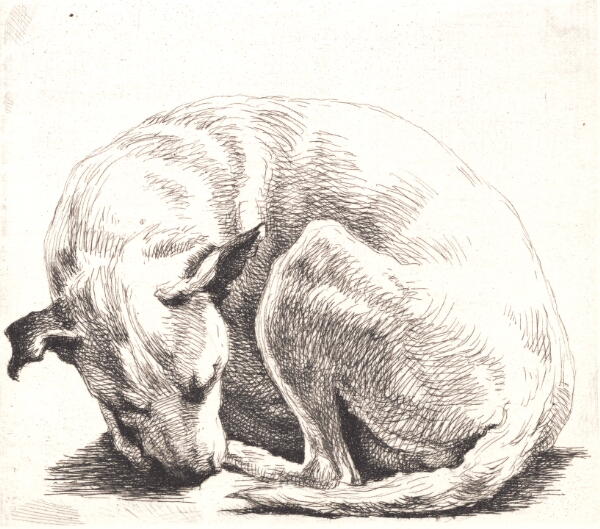 Frans Schwartz, Prøveplade: En hund