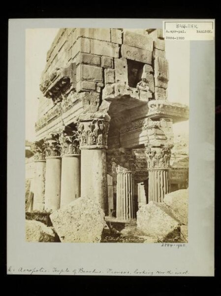 anonymous, Photograph