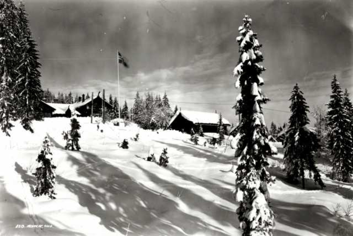 Hermann Christian Neupert, Frognerseteren Restaurant, Nordmarka, Oslo. Vintermotiv. Skog. Flaggstang med flagg.