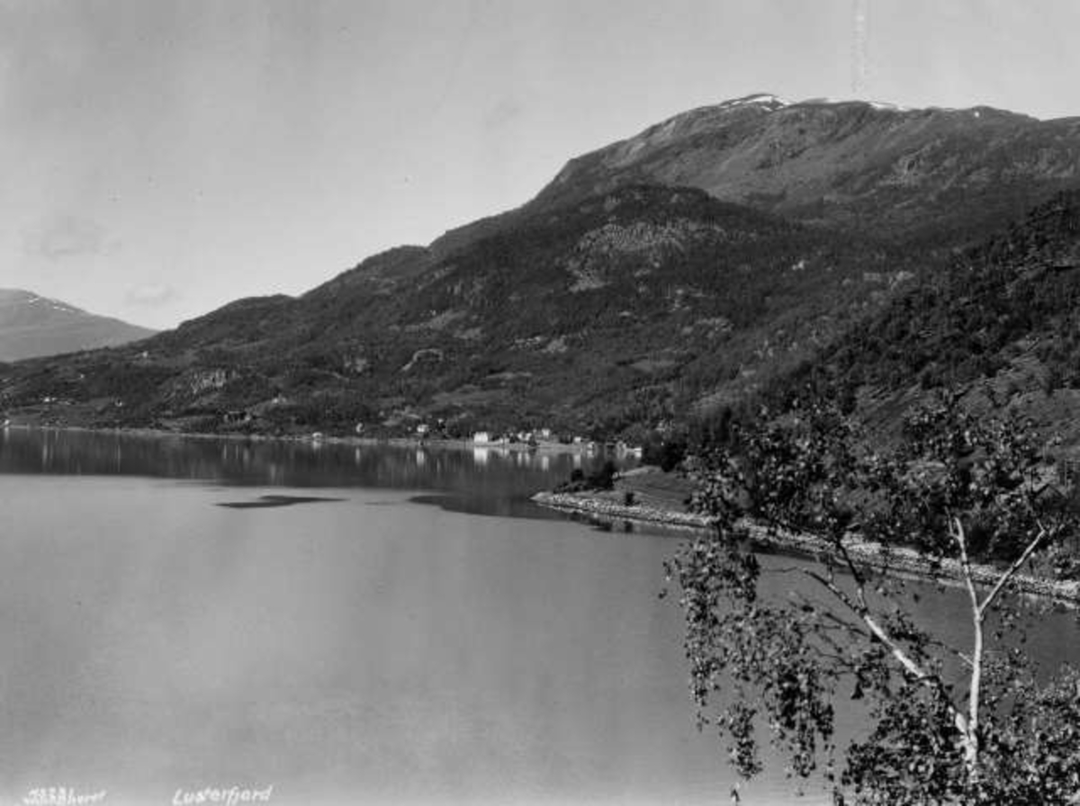 Anders Beer Wilse, -7199