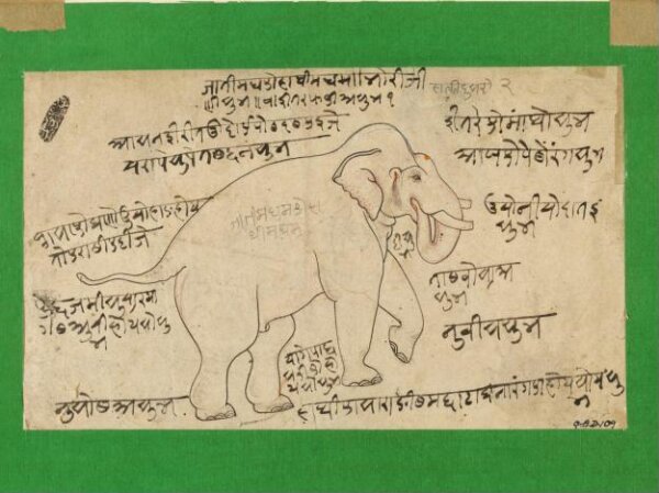 Unknown, Drawing