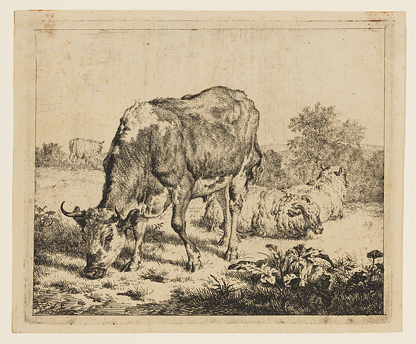 Adriaen van de Velde, The Spotted Bull and Three Sheep