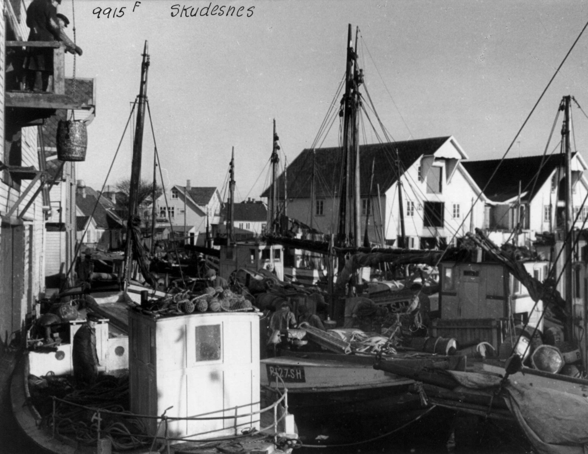 Anders Beer Wilse, Wilse original, Fiske, Bebyggelse