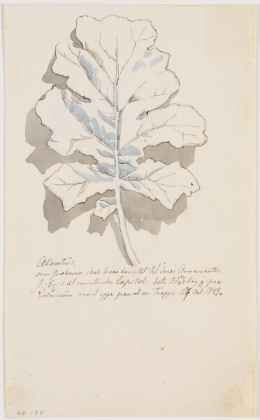 Johan Thomas Lundbye, Akantusblad