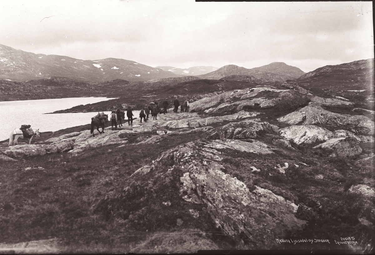 Anders Beer Wilse, Prot: Valle. Indover Høifjeldet, 27/7 Konv: Indover høifj. fra Ljosedalen Neg: Mellem Ljosedal og Siraaen