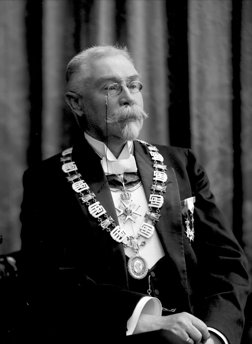 Gustav Borgen, Portrett, rektor ved universitetet i Oslo. Professor Morgenstjerna.