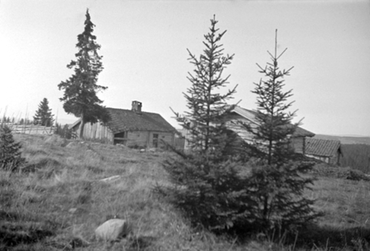 Toralv Bleken-Nilssen, LERSETRA, SETERHUS I FURNES ALMENNING. Ringsaker.