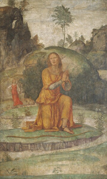 Bernardino Luini, Procris' Prayer to Diana