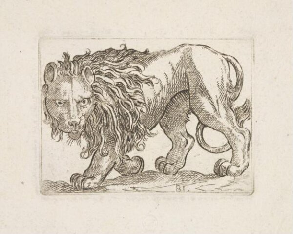 Unknown, Print
