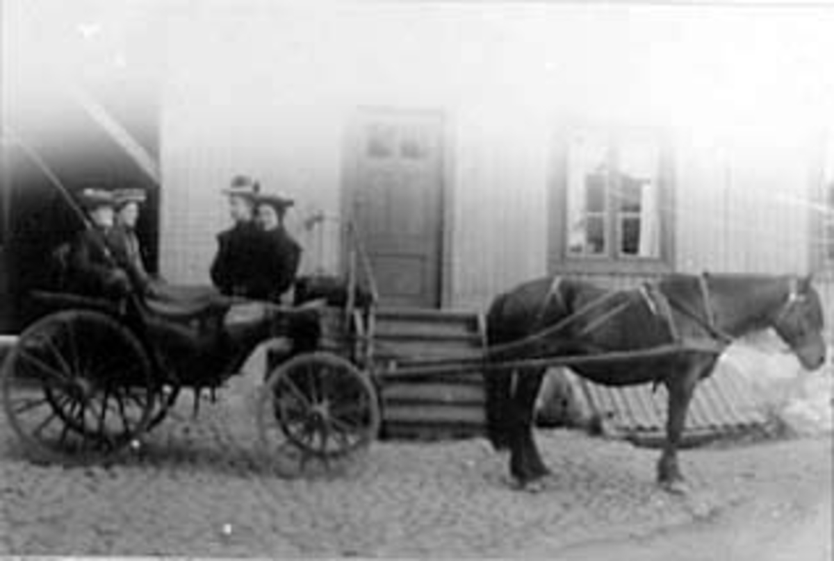Anno Domkirkeodden, HEST MED VOGN, 4 DAMER PÅ BYTUR I VOGNEN: HILDA ER KJØRKAR, HAMAR?