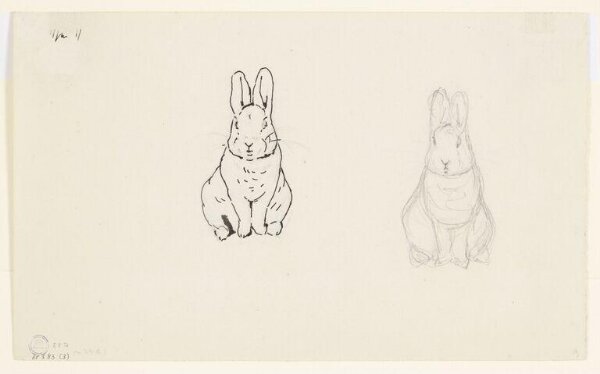 Potter, Beatrix, drawing