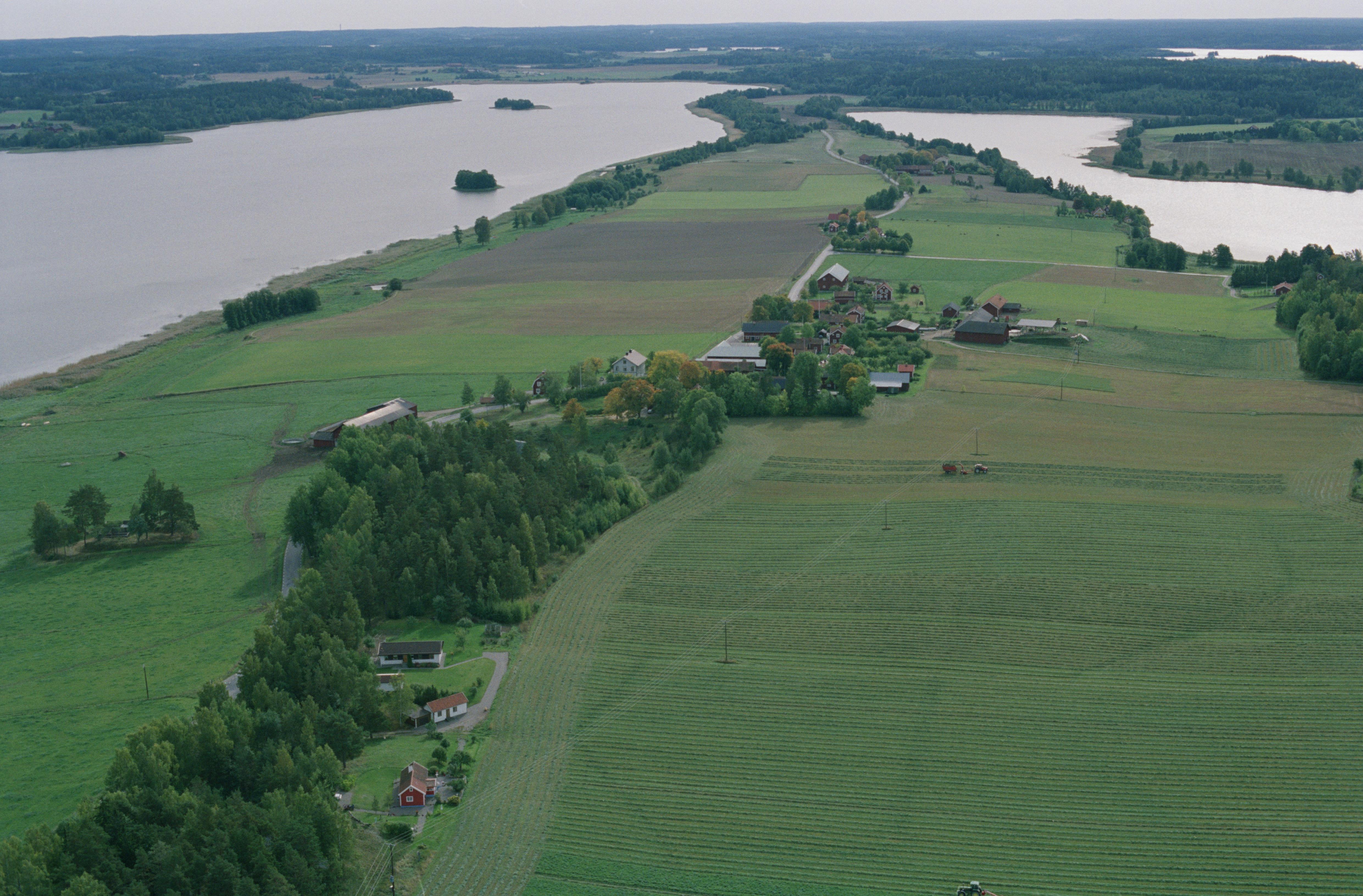 Jan Norrman, Gåsinge-Dillnäs 24:1