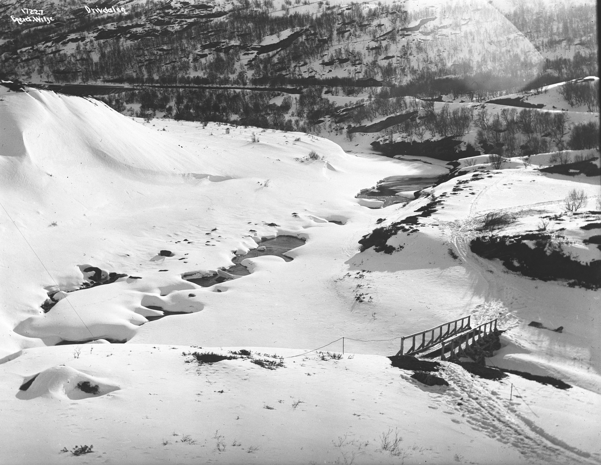 Anders Beer Wilse, Prot: Vaarløsning Drivdalen
