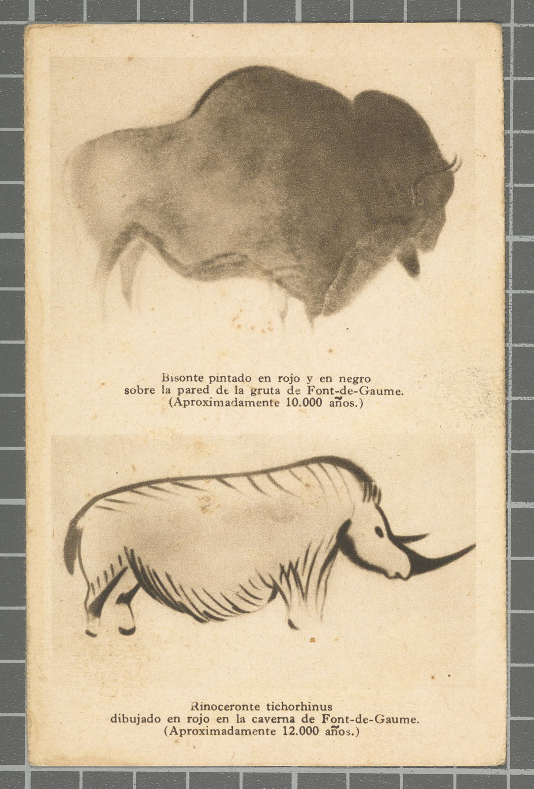 Desconegut, Bisonte painted in red and in negro on the thickness of Font-de-Gaume. (Approximately 10.000 years.)