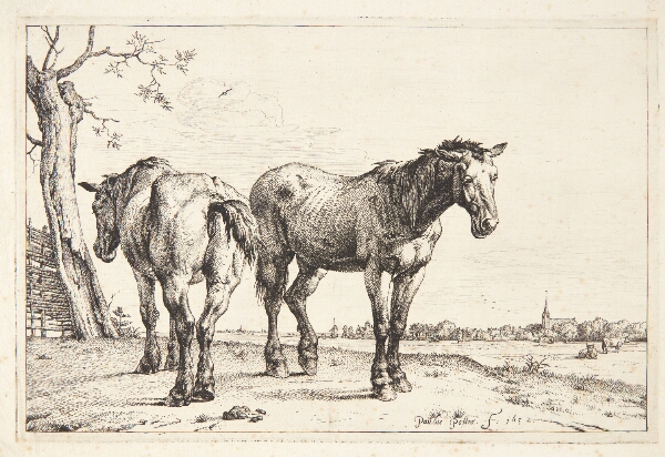 Paulus Potter, To pløjeheste