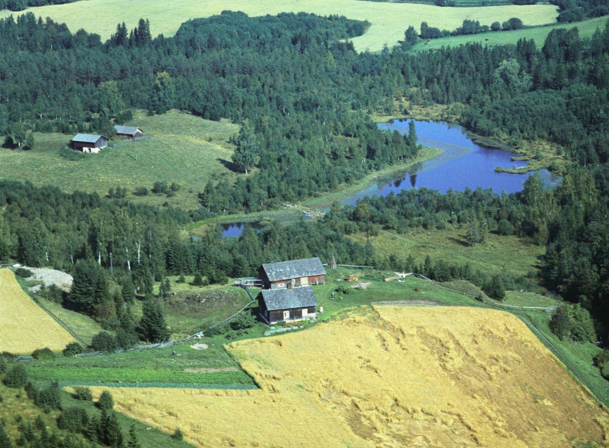 Widerøes Flyveselskap A/S, Flyfoto, Lagmannstuen, husmannsplass under Herram ved Herramstjernet, Gaupen, Ringsaker.