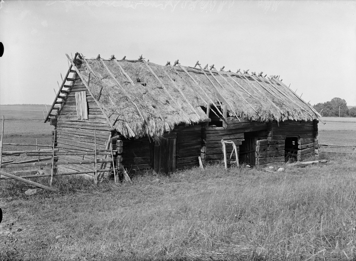 Paul Sandberg, Lider, stall och fähus uppfört 1777- Ågren, Tjocksta, Danmarks socken, Uppland sannolikt 1920-tal