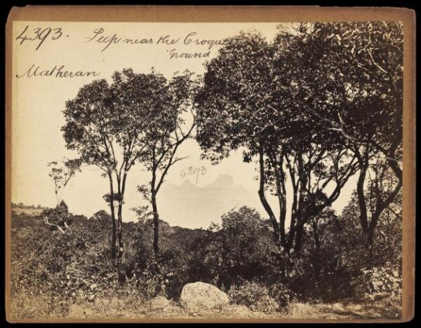 Francis Frith, Matheran, near the Croquet Ground