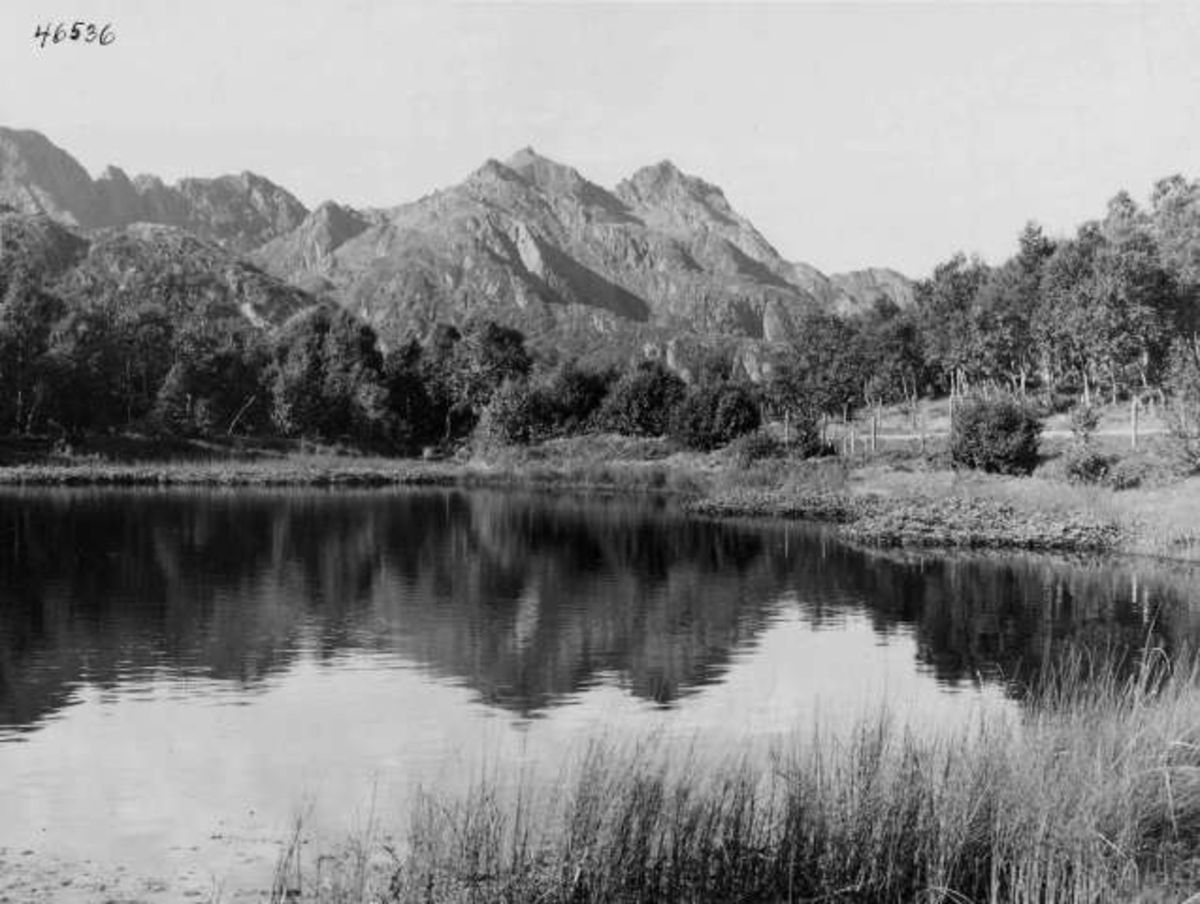 Anders Beer Wilse, -5543