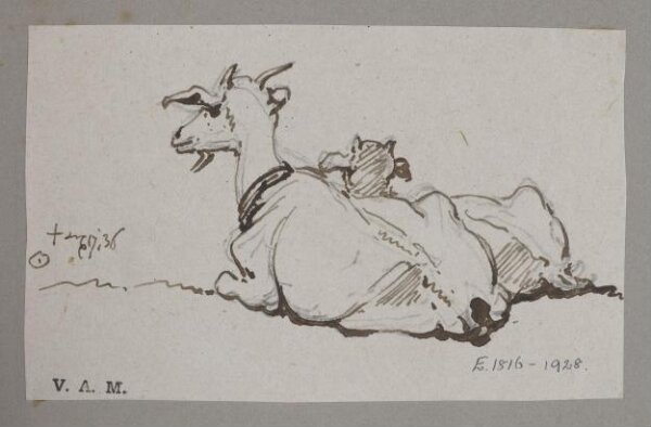 George Chinnery, A goat and kid