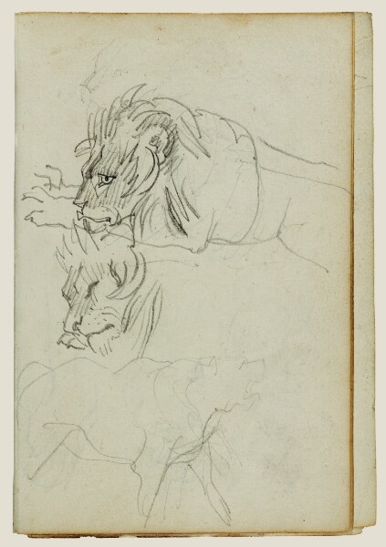 Théodore Géricault, Three lion studies