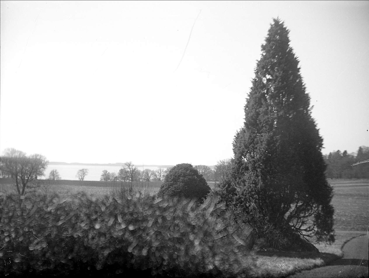 August Fredrik Schagerström, Ekoln vid Fredrikslund, Alsike socken, Uppland maj 1928