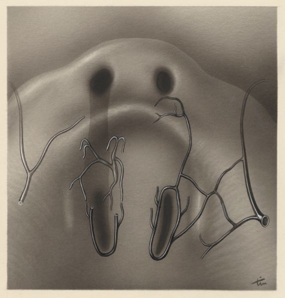 J Tinkelenberg, Cardiovascular system of an embryo