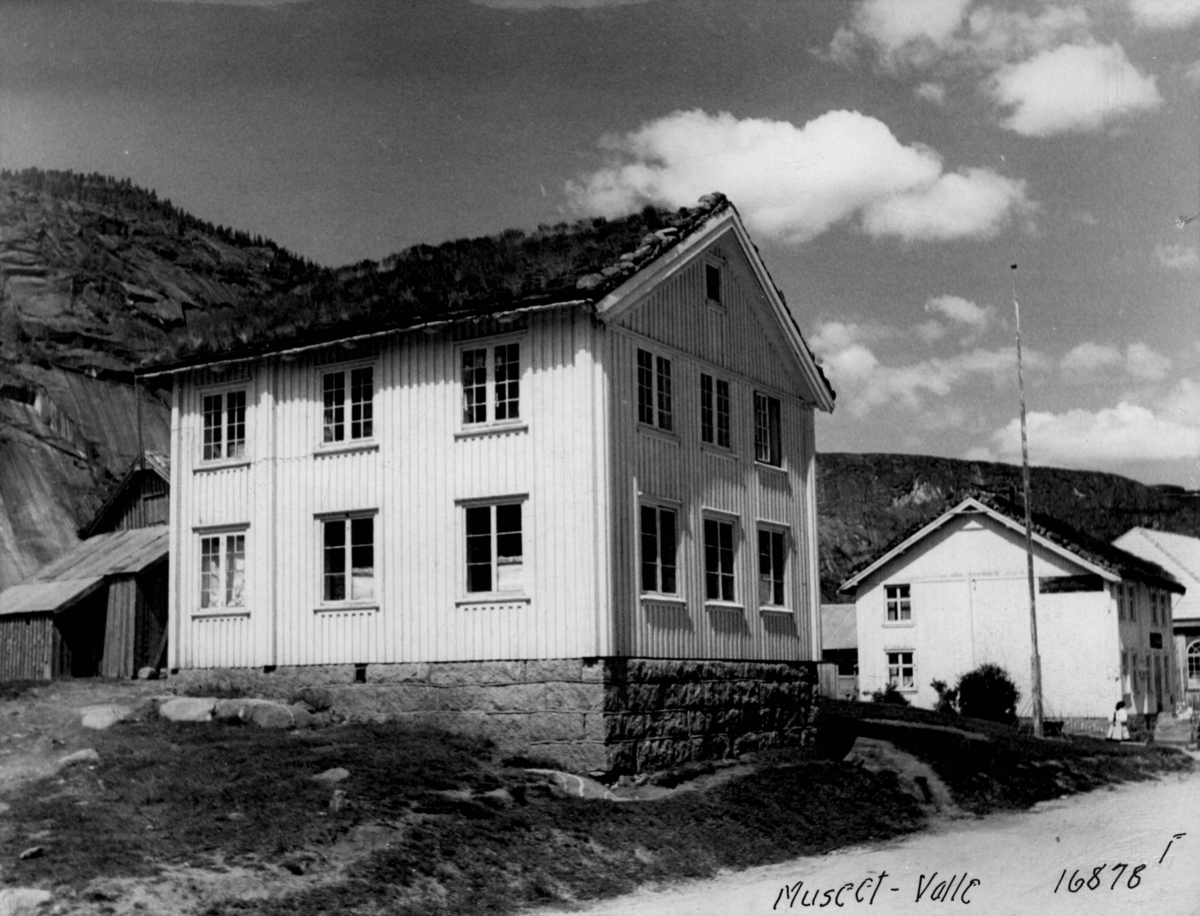 Anders Beer Wilse, Valle Museum.