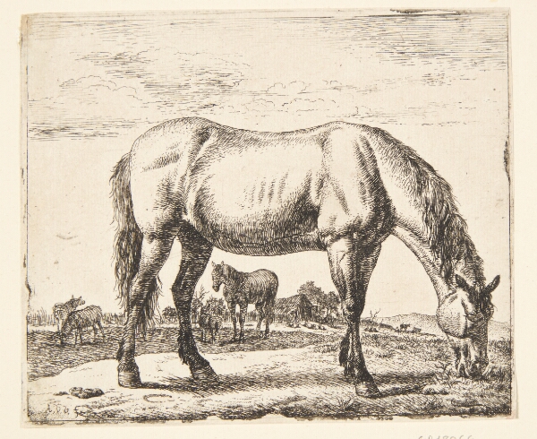 Adriaen van de Velde, Græssende hest