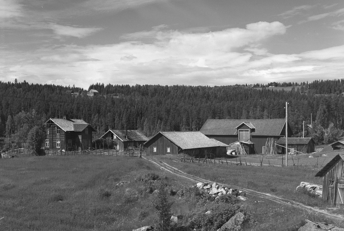 Anno Domkirkeodden, EKSTR: GARDSTUN, YTTEBORG, LØTEN. Se Løtenboka, bind 3. Bygdeboka fra 1955, side 630