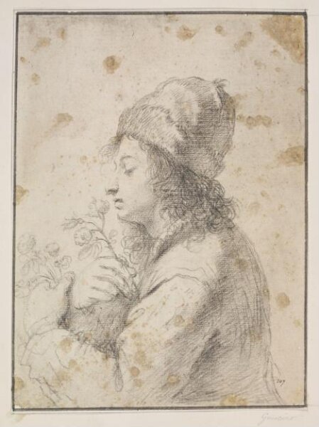 Guercino, Drawing