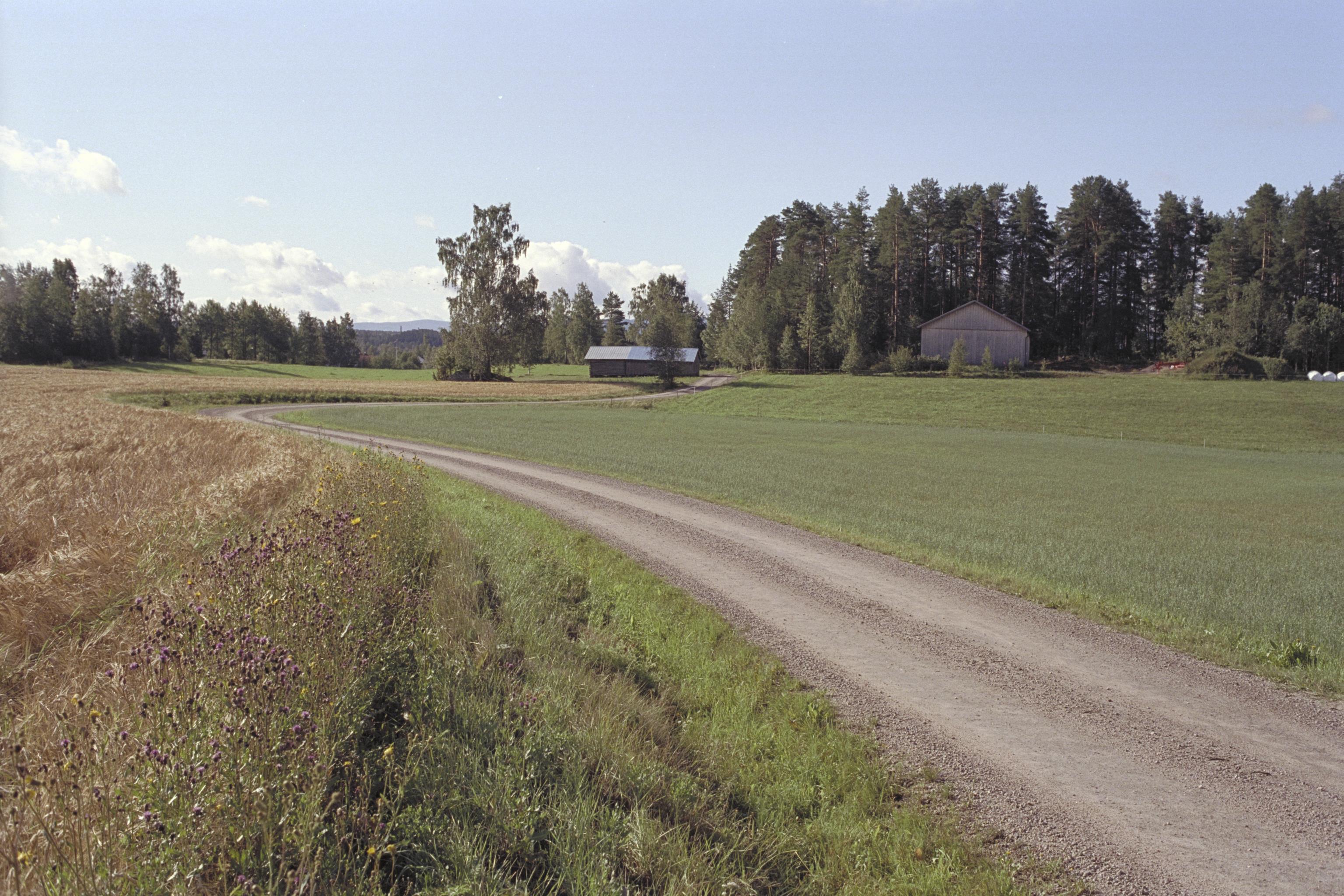Bengt A Lundberg, Västeräng