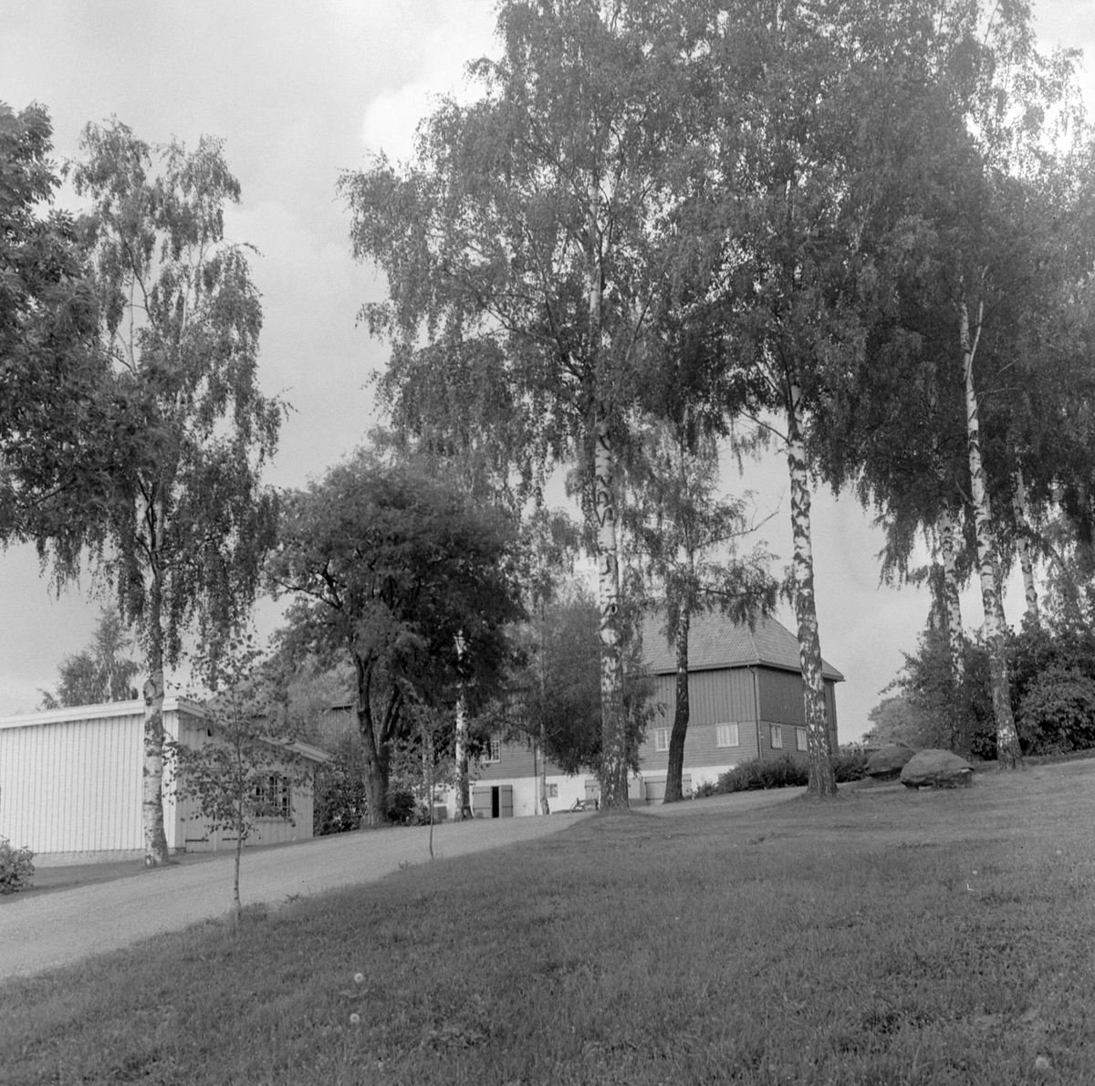 Adolf Skjegstad, ASK-04569