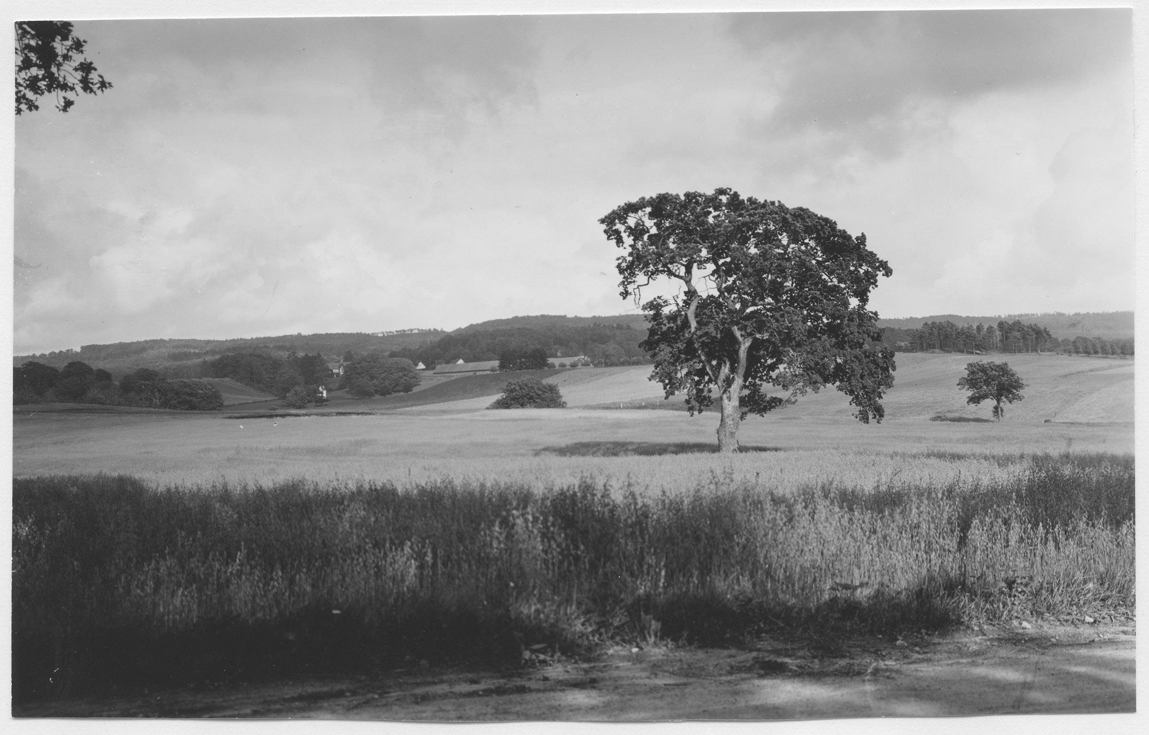 Mårten Sjöbeck, Fröllinge